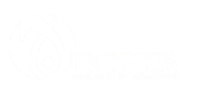 Logo de Excecon Cia Ltda